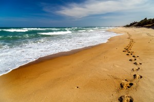 Beach image courtesy of shutterstock.com